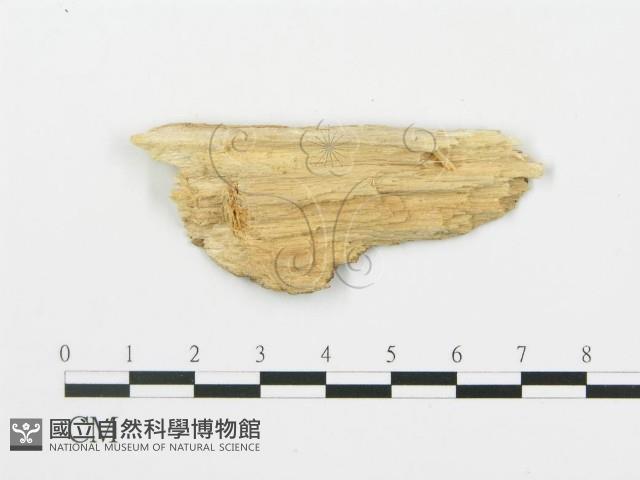 登錄號:F0016592藏品圖，第3張