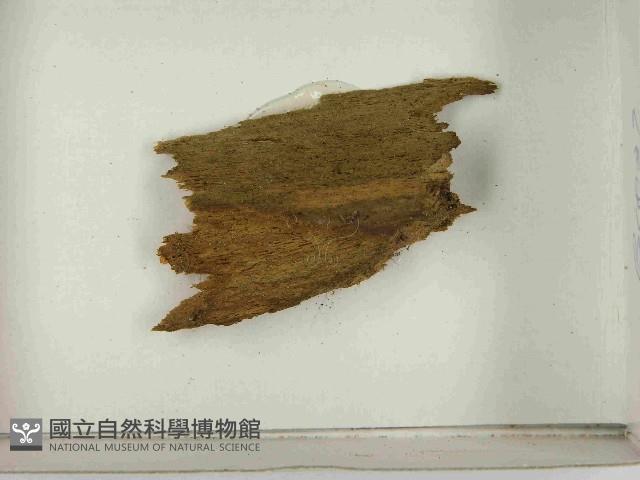 登錄號:F0021592藏品圖，第3張