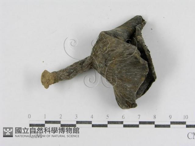 登錄號:F0007592藏品圖，第3張