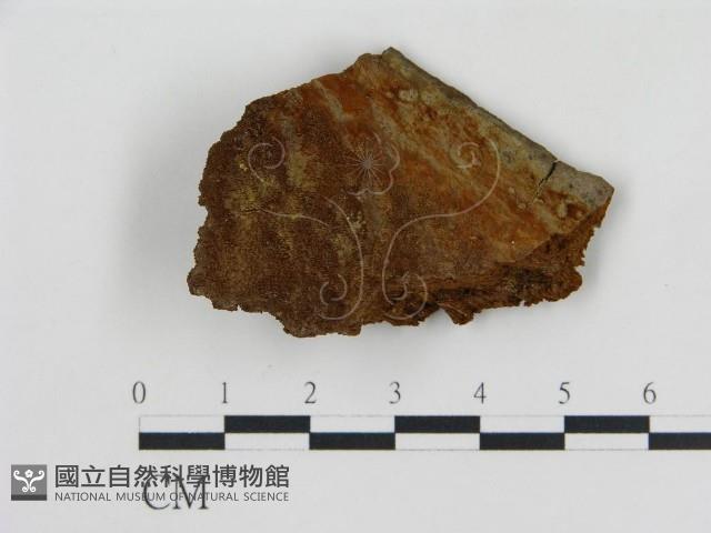 登錄號:F0017592藏品圖，第1張