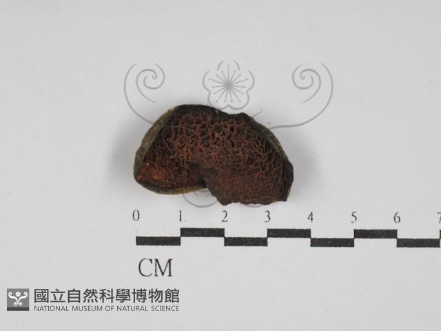 登錄號:F0030192藏品圖，第3張