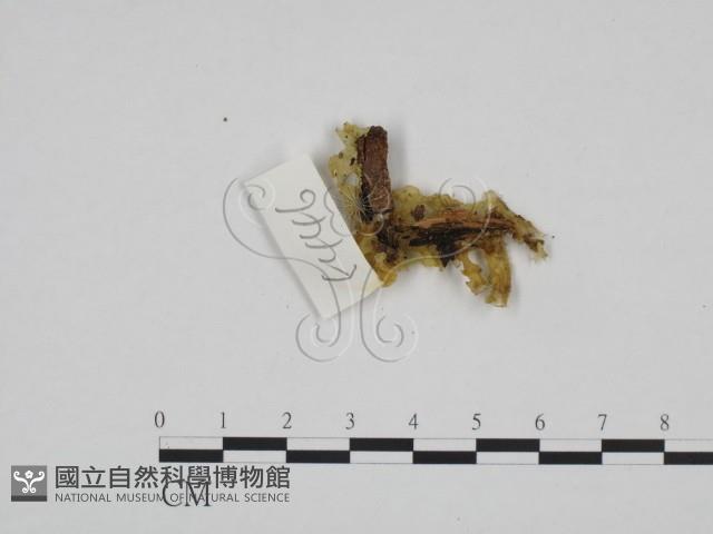 登錄號:F0024192藏品圖，第3張