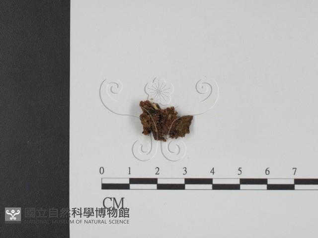 登錄號:F0001092藏品圖，第3張