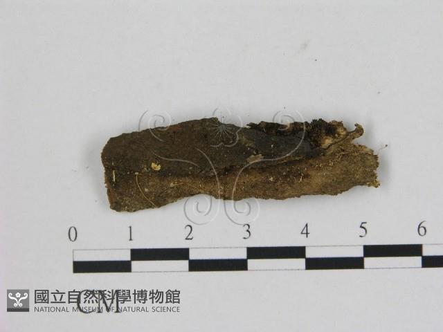 登錄號:F0002092藏品圖，第3張
