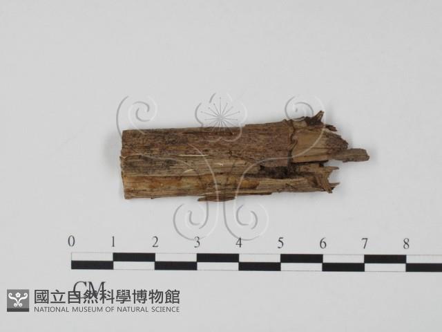 登錄號:F0003092藏品圖，第3張
