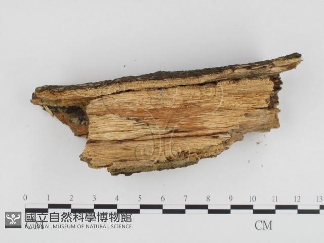 登錄號:F0024392藏品圖，第3張