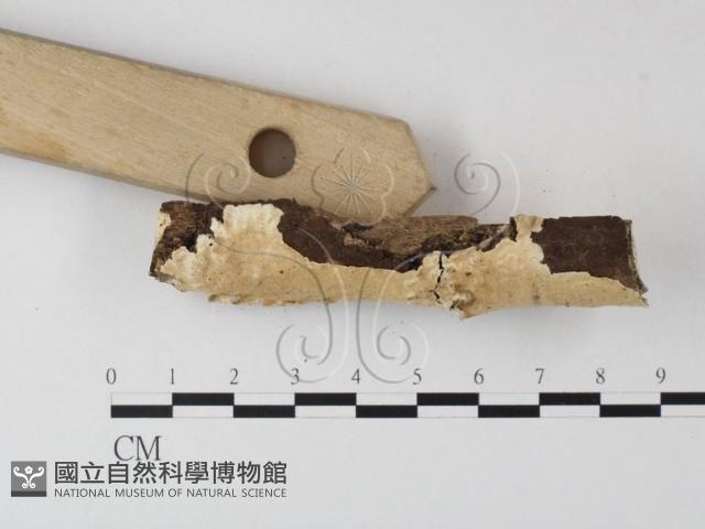 登錄號:F0004282藏品圖，第3張