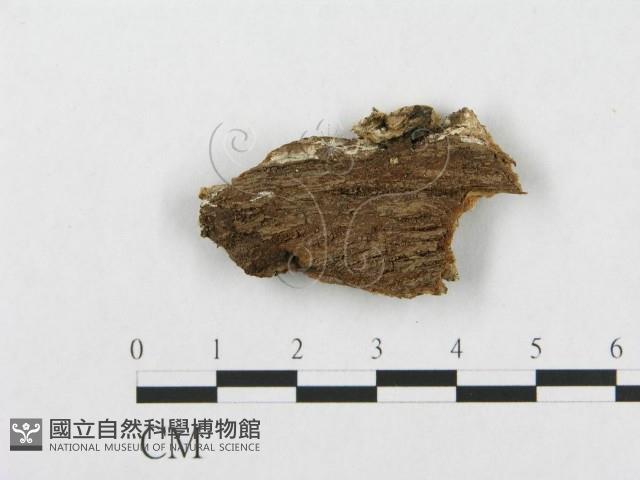 登錄號:F0007282藏品圖，第3張