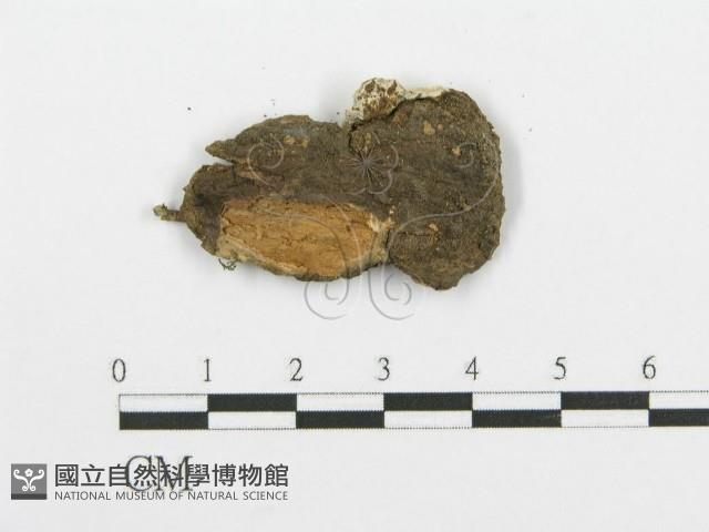 登錄號:F0015282藏品圖，第3張