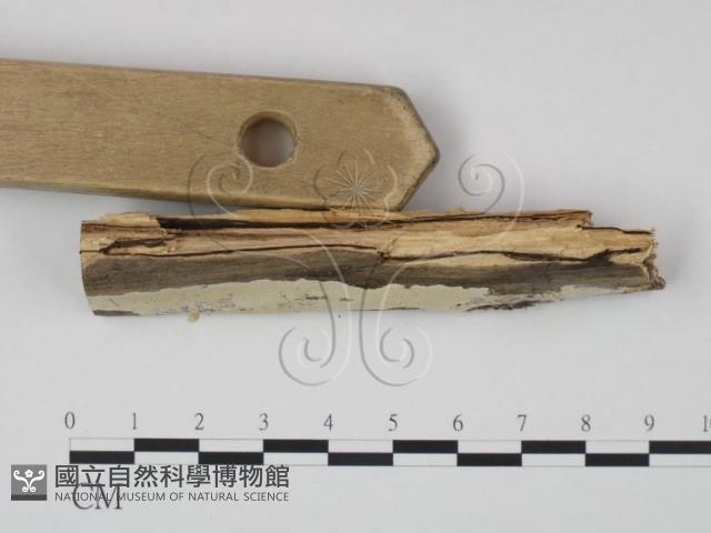 登錄號:F0020982藏品圖，第3張
