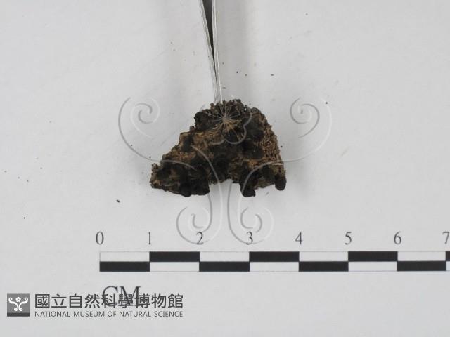 登錄號:F0007682藏品圖，第3張