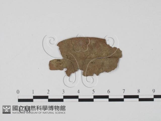 登錄號:F0005682藏品圖，第3張