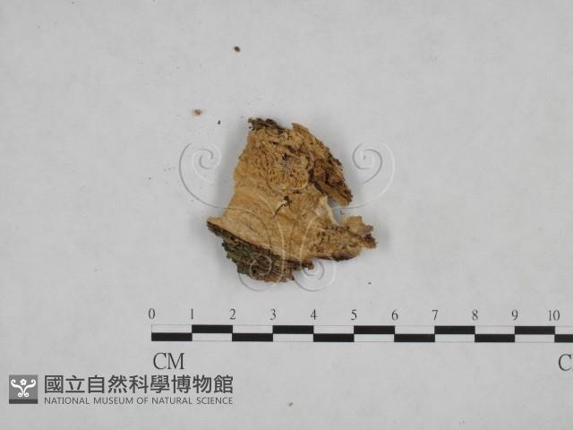 登錄號:F0024782藏品圖，第3張