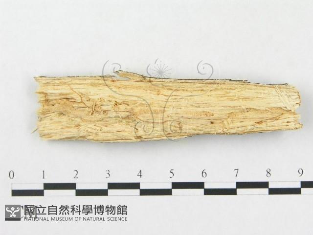 登錄號:F0012782藏品圖，第3張