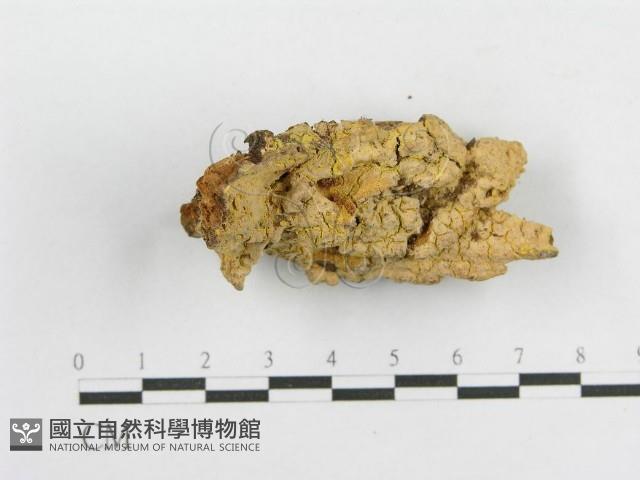 登錄號:F0010582藏品圖，第3張