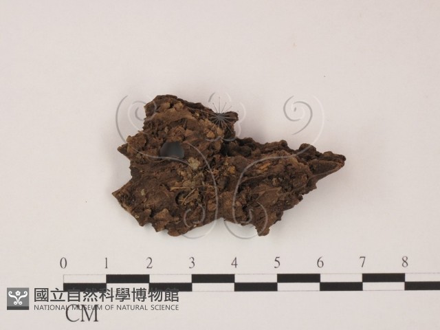 登錄號:F0009582藏品圖，第1張