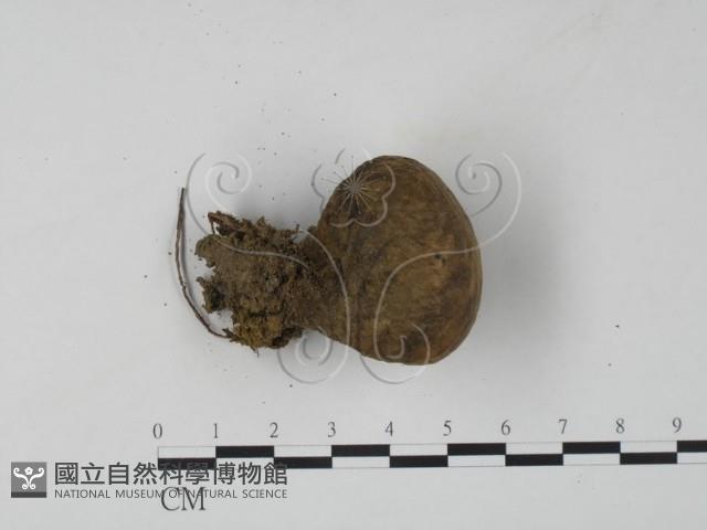 登錄號:F0024082藏品圖，第3張