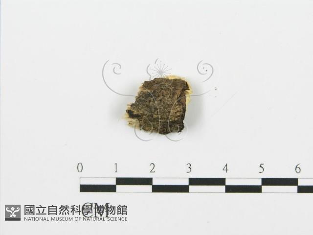 登錄號:F0006382藏品圖，第3張