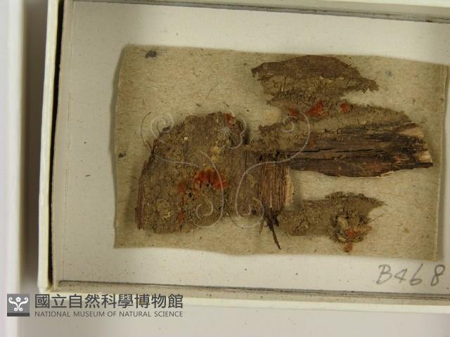登錄號:F0021382藏品圖，第3張