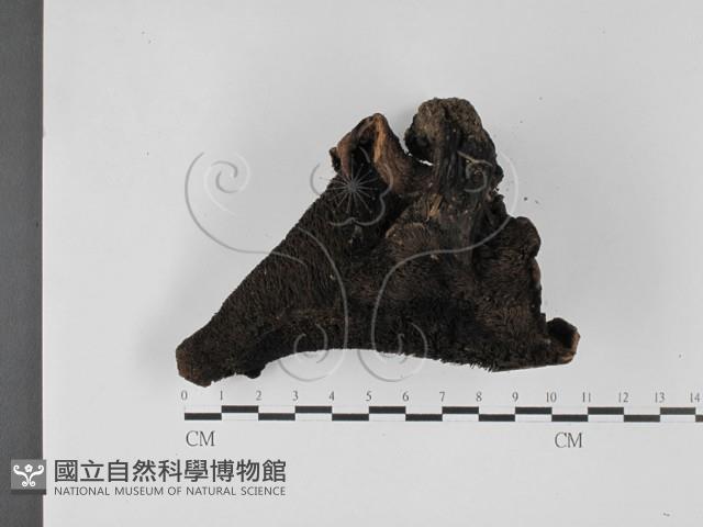 登錄號:F0027382藏品圖，第3張