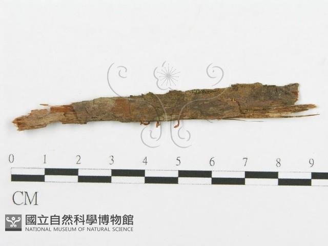 登錄號:F0009382藏品圖，第3張