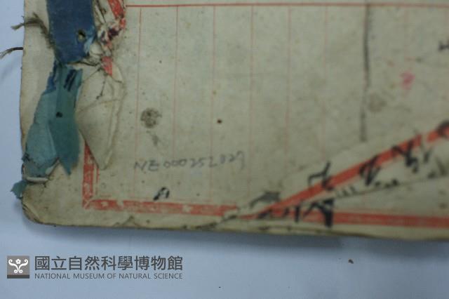 處方藏品圖，第3張