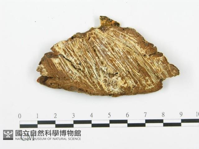 登錄號:F0014107藏品圖，第3張