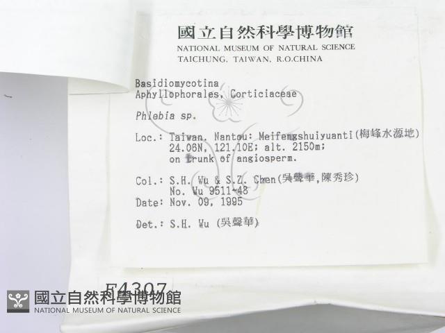 登錄號:F0004307藏品圖，第4張