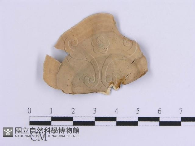 登錄號:F0007307藏品圖，第3張