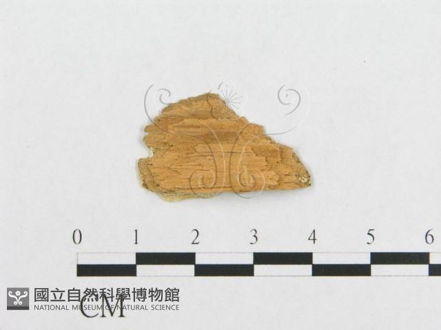 登錄號:F0007117藏品圖，第3張