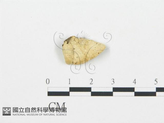 登錄號:F0006017藏品圖，第3張