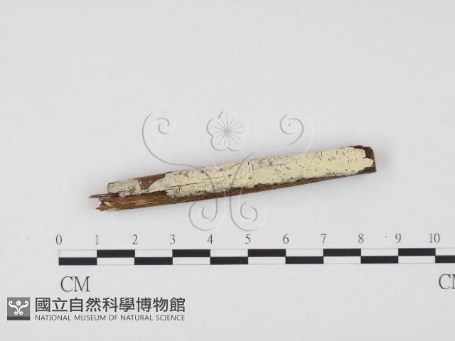 登錄號:F0004297藏品圖，第3張