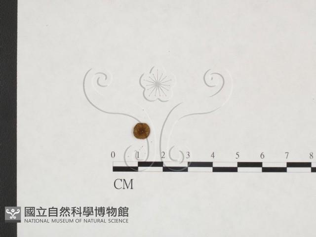 登錄號:F0025897藏品圖，第3張