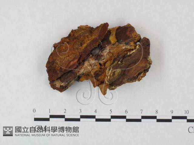 登錄號:F0013897藏品圖，第3張