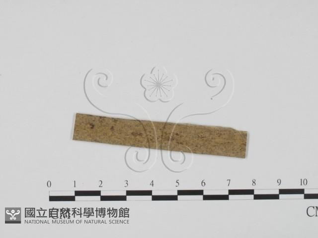 登錄號:F0011697藏品圖，第3張