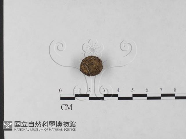 登錄號:F0004697藏品圖，第3張