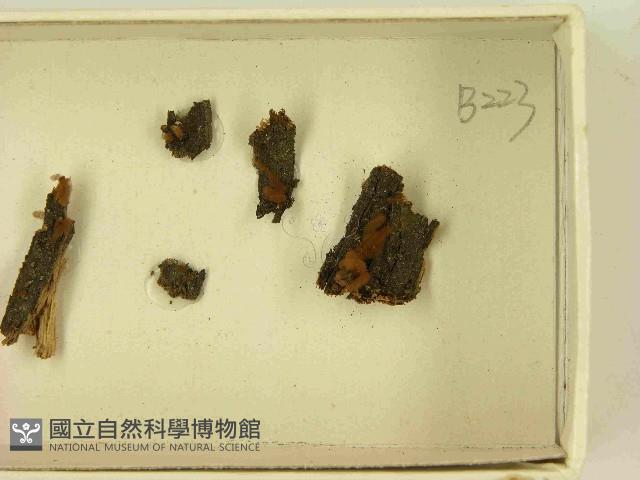 登錄號:F0021497藏品圖，第3張