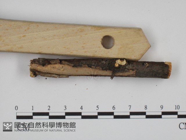 登錄號:F0004497藏品圖，第3張