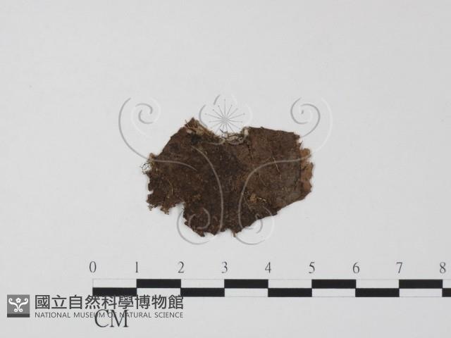 登錄號:F0011797藏品圖，第3張