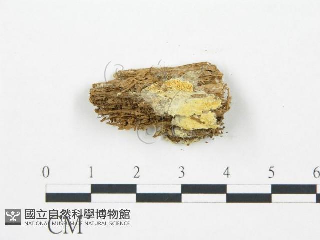 登錄號:F0017597藏品圖，第1張