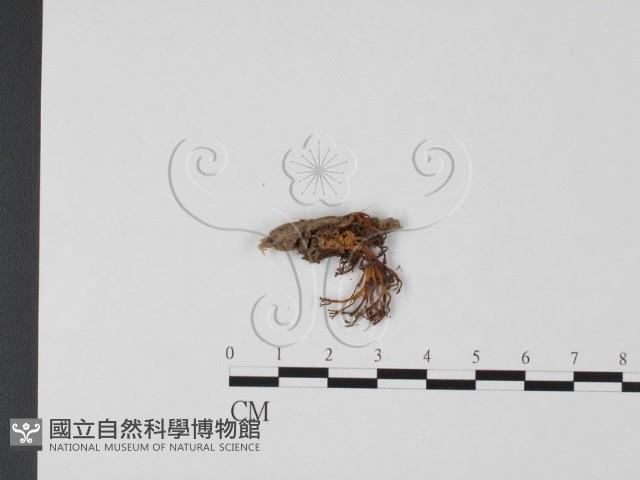 登錄號:F0002197藏品圖，第3張