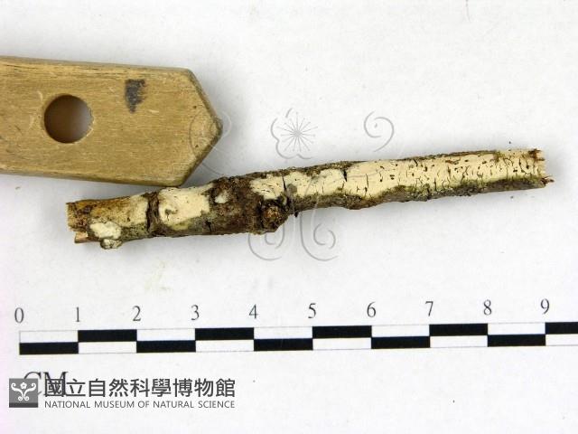 登錄號:F0015197藏品圖，第3張