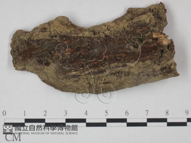 登錄號:F0020097藏品圖，第3張