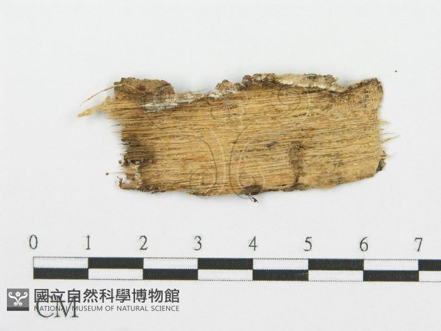 登錄號:F0010097藏品圖，第3張
