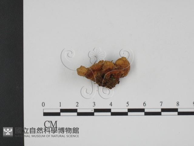 登錄號:F0001097藏品圖，第3張