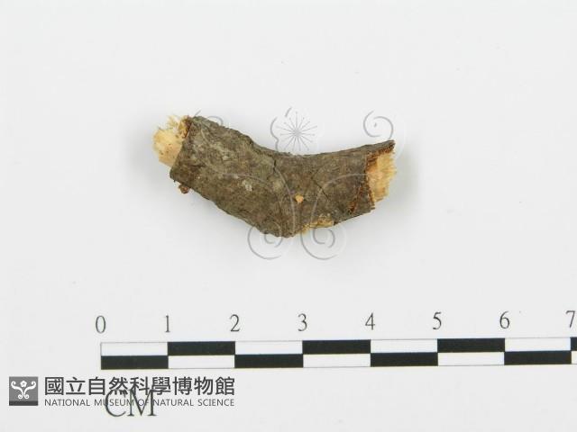 登錄號:F0002097藏品圖，第3張