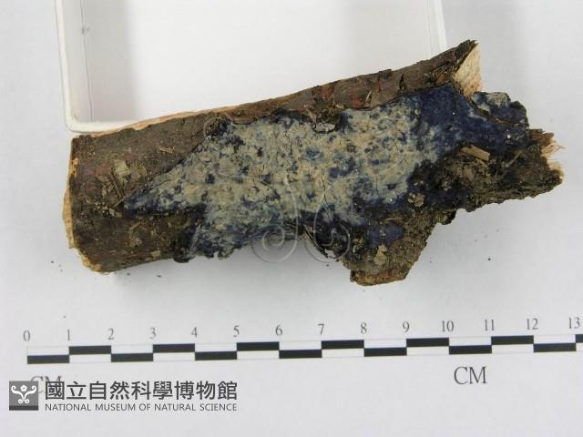 登錄號:F0000397藏品圖，第3張