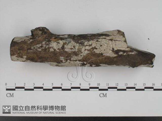 登錄號:F0002397藏品圖，第3張