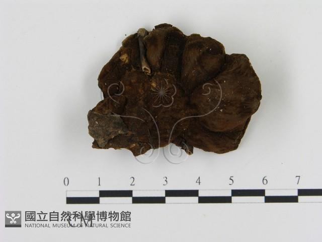 登錄號:F0006887藏品圖，第3張