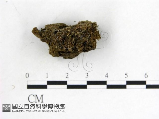登錄號:F0012887藏品圖，第3張